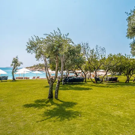 Kaplankaya فيلة *